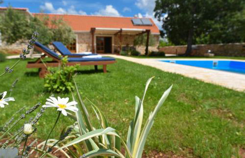 Rural House Kod Slapa - Foto 13