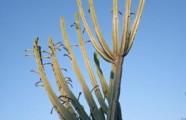 Pontinos Villa - Photo 52