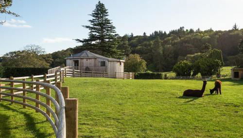 The Treehouse - Foto 3