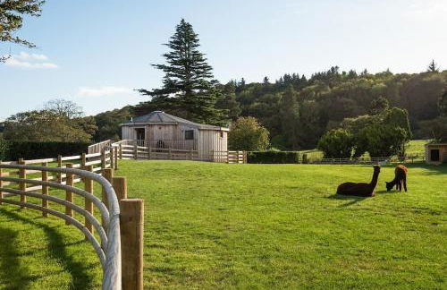 The Treehouse - Foto 3