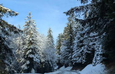 Grange de Marius - Authentique grange savoyarde - Photo 36