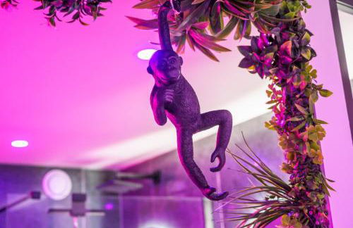 L'Inséparable - Jacuzzi - Terrasse - Parking - Vélos - Foto 8