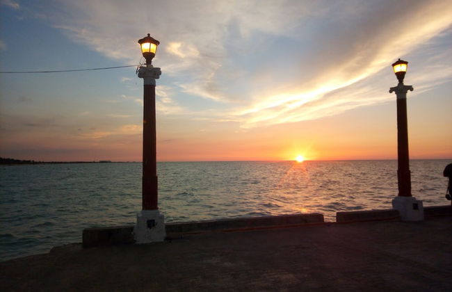 Casa de los peces - Foto 26