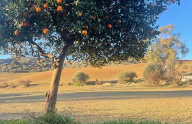 Maison de village au calme - Foto 20