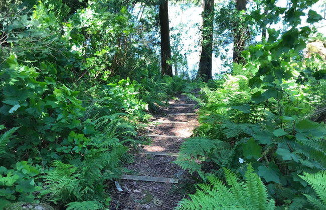 07MF - Lake Front - Hot Tub - BBQ - Sleeps 8 - Foto 21