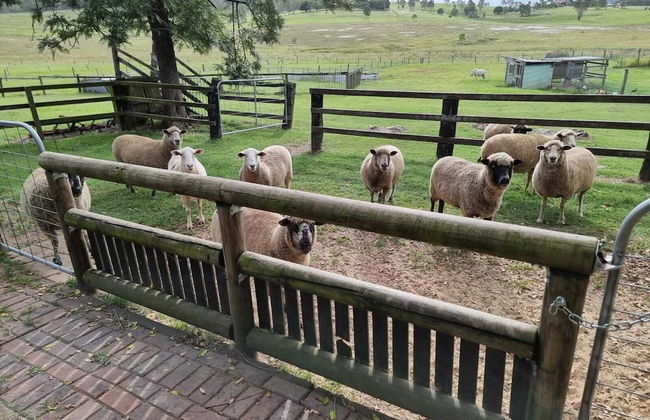 Clandulla Cottages - Foto 49