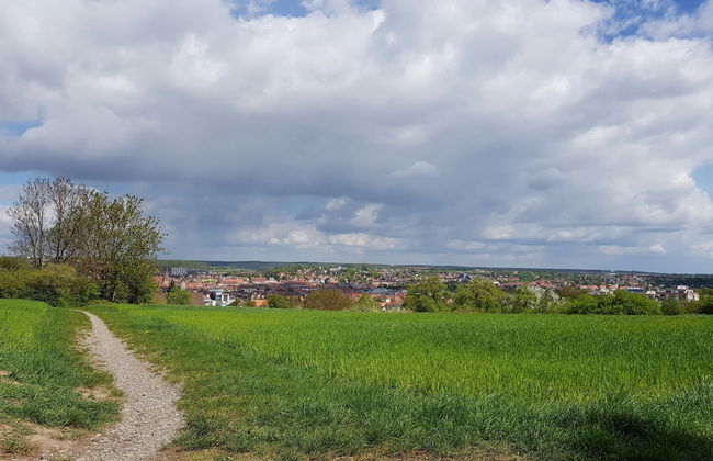 Ansbachs City Apartment - Photo 14