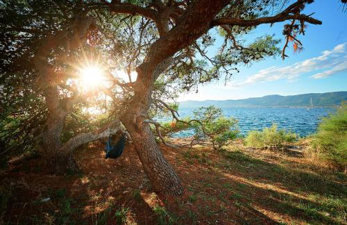 Sun Spalato Hills 8 - Photo 46