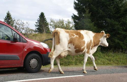 Holiday Home Vagney near Ski Gérardmer - Photo 35