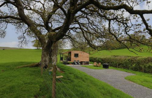 Wild Acre - Photo 19