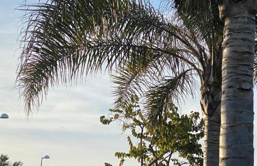 Casa junto al mar con jardín - Foto 30