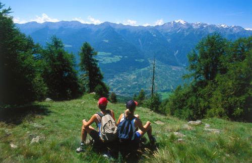 Residence Feldhof - Foto 25