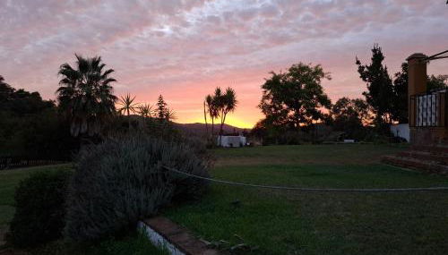 Finca Fuentezaos Cortijo Las Palmeras - Foto 2