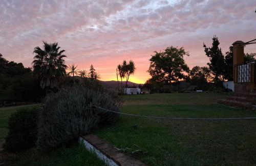 Finca Fuentezaos Cortijo Las Palmeras - Foto 2