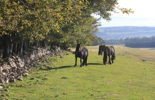 The Granary - Foto 15