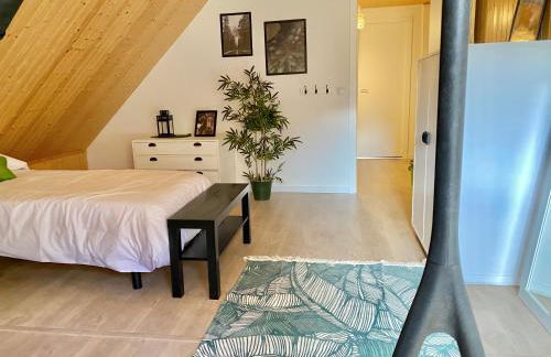 Gessa bonita casa junto a Baqueira DREAM - Foto 7