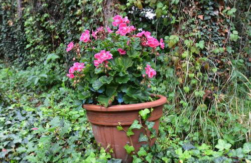 Scenic Home in Berbiguières - Foto 28