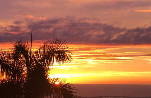 The Great Kona Escape - Foto 20