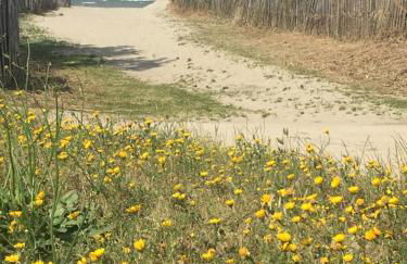 Rêve bleu - Photo 39