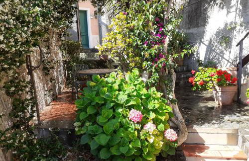 Raggio di Luna - Foto 16