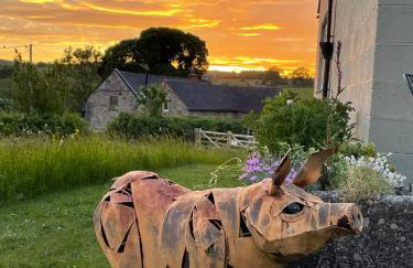 The Pigsty - Foto 13