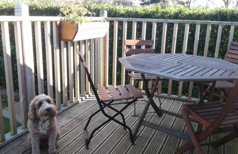 Garden View Apartment - Foto 9