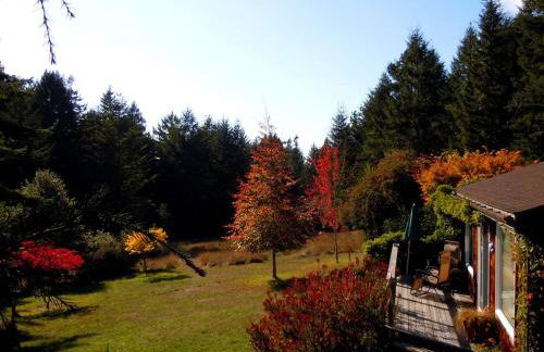 Rural Vacation Cottage near the Coast and the Town of Albion in Northern California - Foto 20