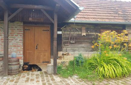 Farmica, Bed&Breakfast, Bazen izdvojen nekoliko minuta hoda - Foto 8