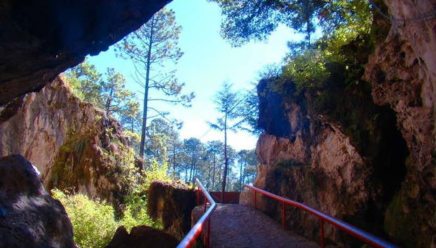 Rancho Nuevo & El Arcotete Tour - Foto 2