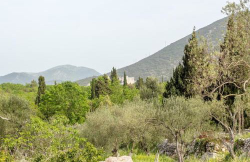 Olive Garden - Foto 29