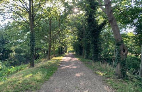 May Barn, Ixworth - Foto 22