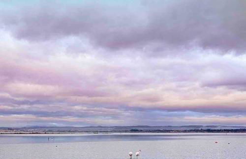 Oasis Cove Côté Étang, accès baignade, proche plage - Foto 28