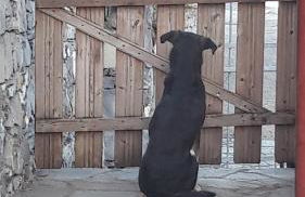 Collina e mare - Foto 15