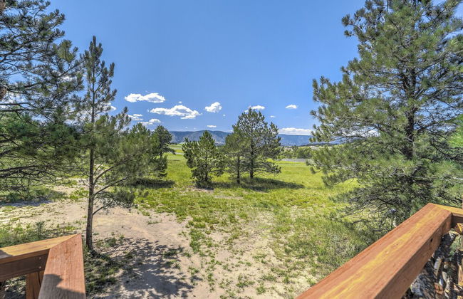 Tree Eagles Nest - Foto 48