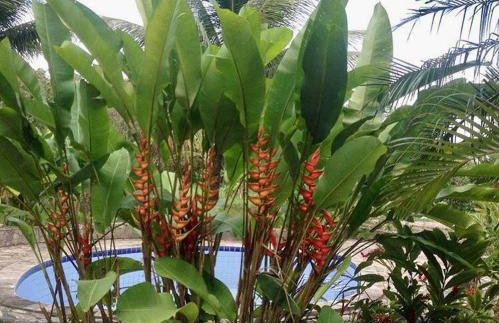 Rancho Refugio Verde AL - Foto 61