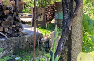 Cabana do Dinamarquês em Arga de Baixo - Foto 14