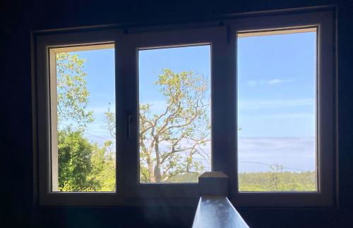 Olas y flores silvestres 2 - Foto 11