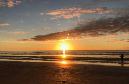 Pelican Hideaway - Foto 46