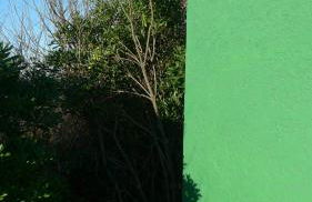 Green Dunes House - Foto 33