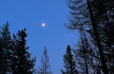 House with a View - Modernes Ferienhaus in der Eifel - Foto 42