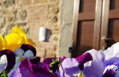 Babbo Rino - Foto 18