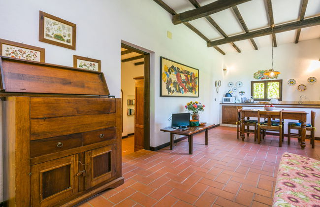 Bardeggiano - Caterina 8 (COL243) - Foto 8