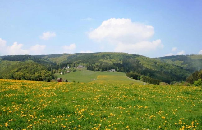 Wohnung in Brilon mit Kleinem Garten - Foto 32