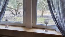 The Cottages - Pet Friendly - Photo 4