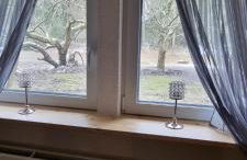 The Cottages - Pet Friendly - Photo 4