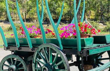 Monte do Lago, Pegões - Foto 33