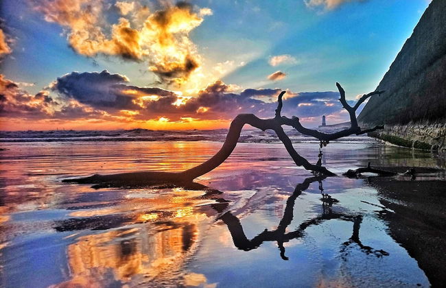 Beautiful House in Village, Newburgh, Ellon - Photo 1