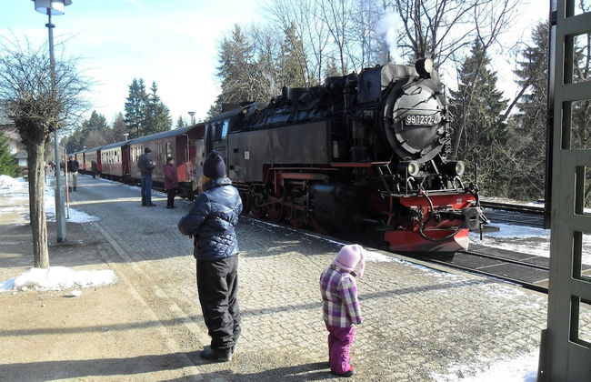 Former Coach House in the Harz - Foto 40