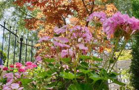 Stylish Garden Apartment in Central Cheltenham - Photo 18