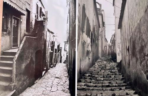 Casa Armonia - Elba Affitti - Foto 11